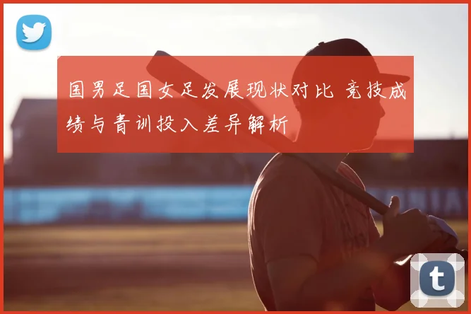 国男足国女足发展现状对比 竞技成绩与青训投入差异解析