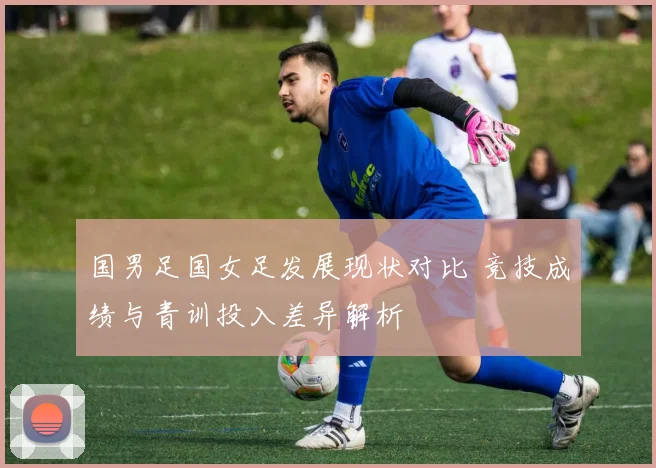 国男足国女足发展现状对比 竞技成绩与青训投入差异解析